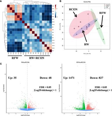 Integrated Metabolomics and Transcriptome Revealed the Effect of Fermented Lycium barbarum Residue Promoting Ovis aries Immunity